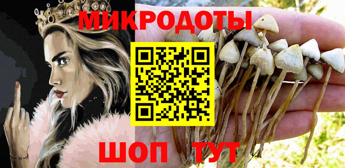 Псилоцибиновые грибы прущие грибы  Галлюциногенные грибы Cubensis  Вход с VPN  Славянск-на-Кубани 
