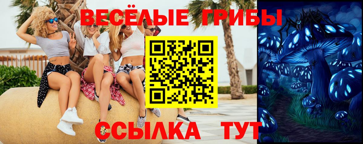 Галлюциногенные грибы Cubensis Славянск-на-Кубани